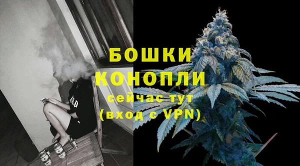 сатива Абдулино