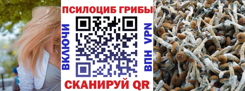 Псилоцибиновые грибы Magic Shrooms  Кохма 