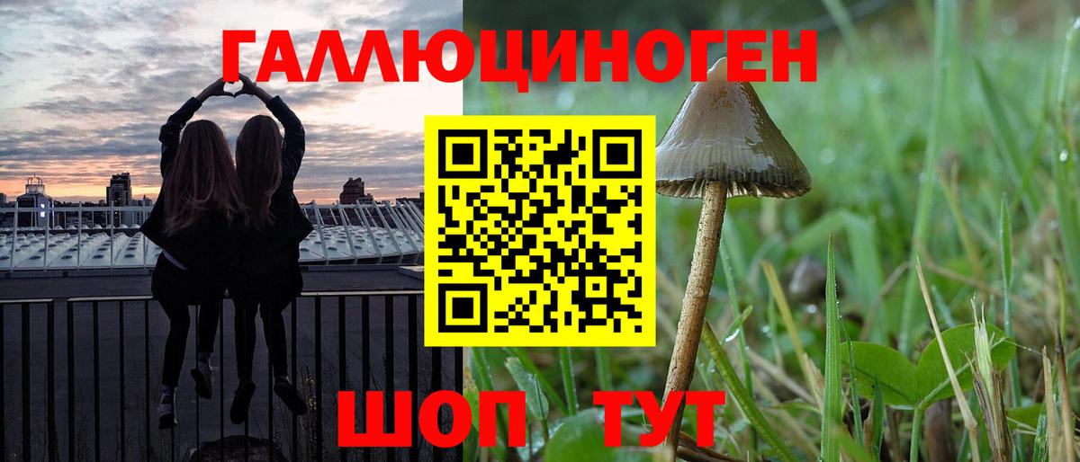 Кохма  Галлюциногенные грибы GOLDEN TEACHER  Псилоцибиновые грибы ЛСД  Вход с VPN 